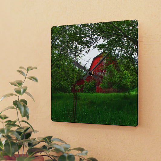 U R There Photography Bird Road Red Rustic Farmhouse Acrylic Analog Wall Clock