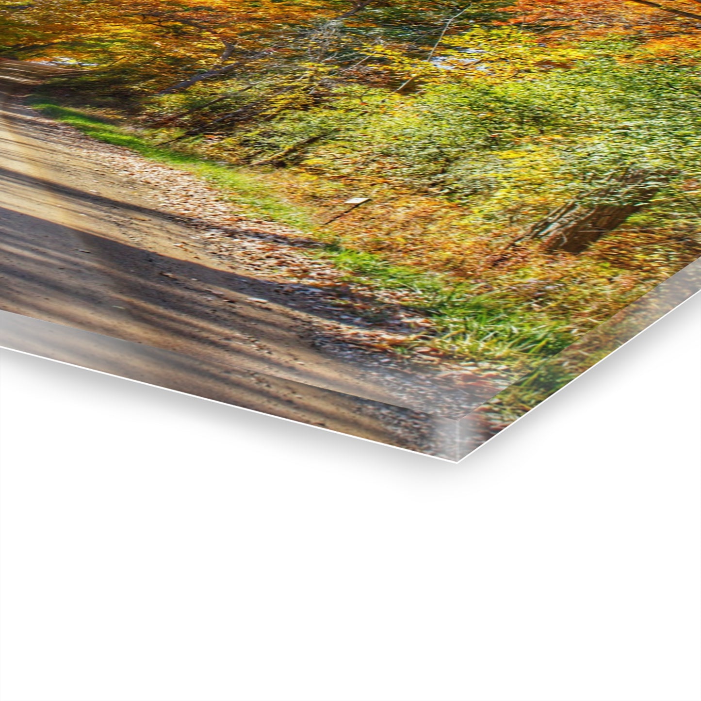 U R There Photography Harson Road in Fall II Rustic Farmhouse Acrylic Wall Print