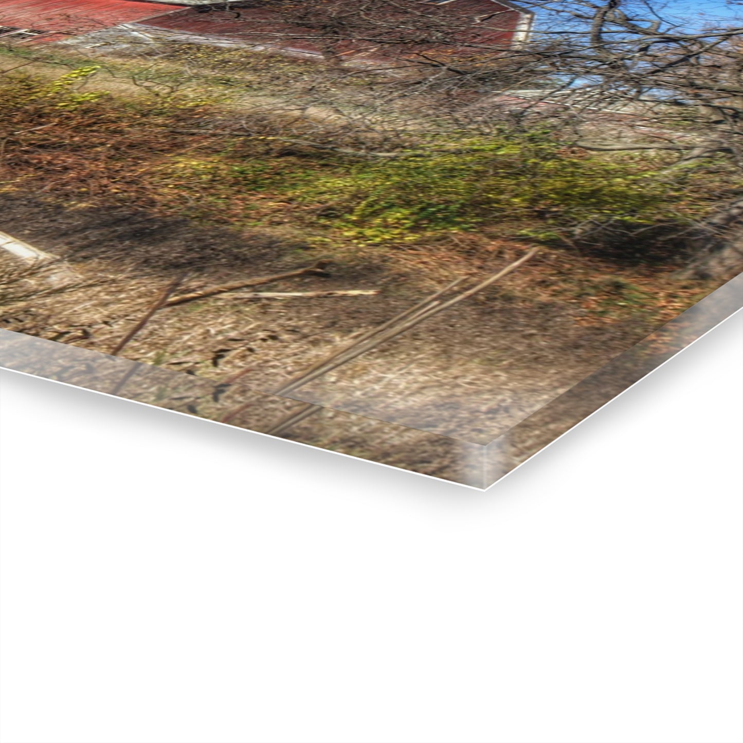 U R There Photography Hadley Red I Rustic Farmhouse Acrylic Wall Print