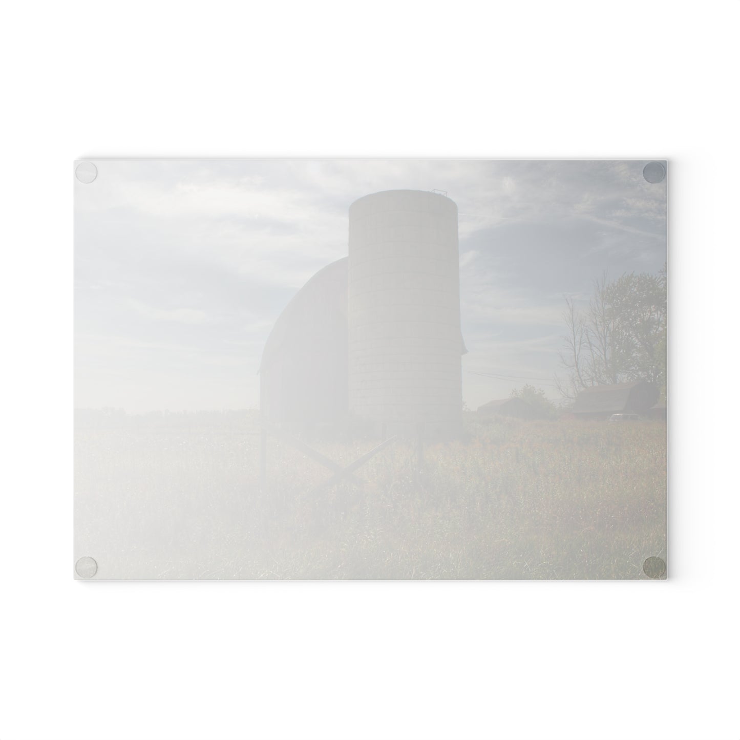 U R There Photography Mushroom Road Red II Rustic Farmhouse Tempered-Glass Cutting Board 8"x 11"