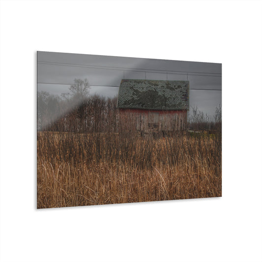 U R There Photography Brown Road Rustic Rustic Farmhouse Acrylic Wall Print