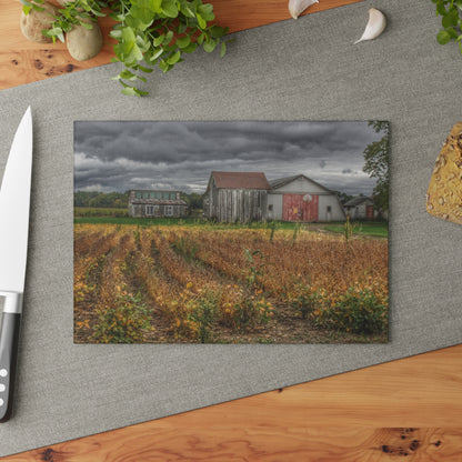 U R There Photography Murphy Lake Road Quonset Clan Rustic Farmhouse Tempered-Glass Cutting Board