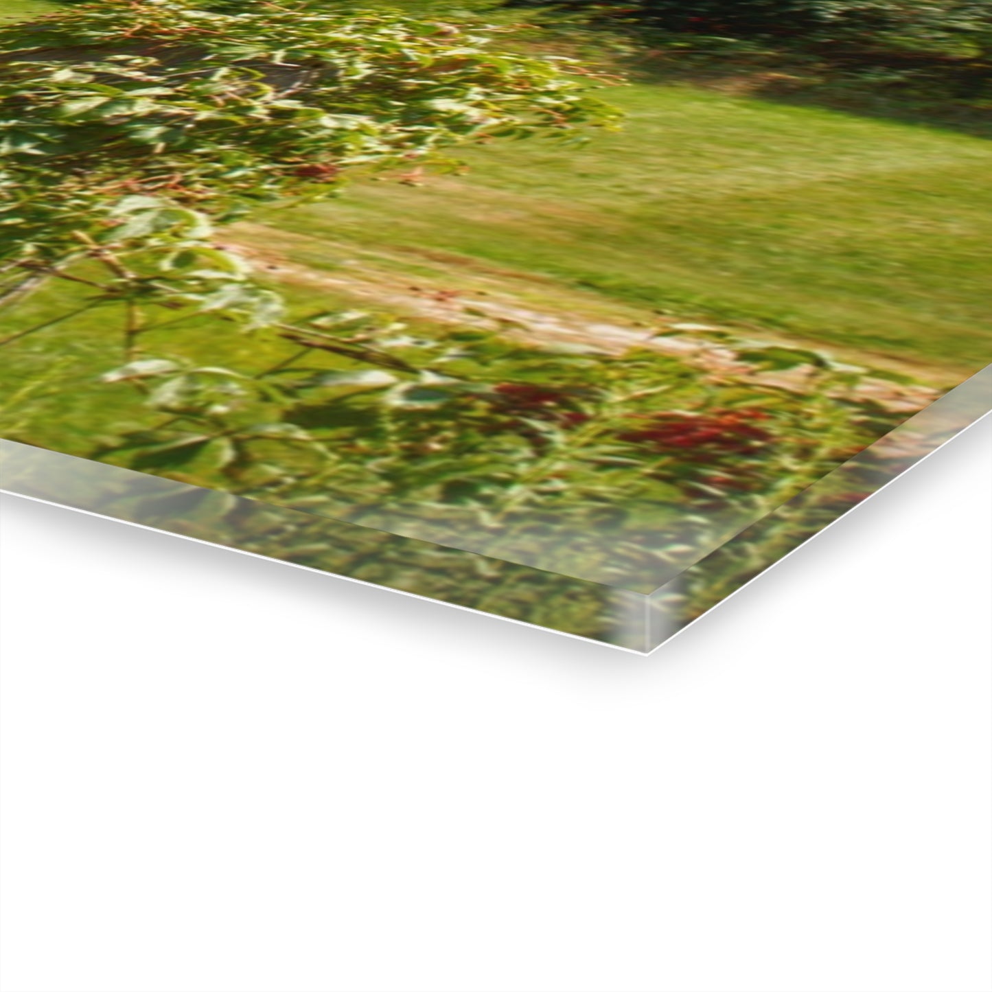 U R There Photography South Oak Road Reds II Rustic Farmhouse Acrylic Wall Print