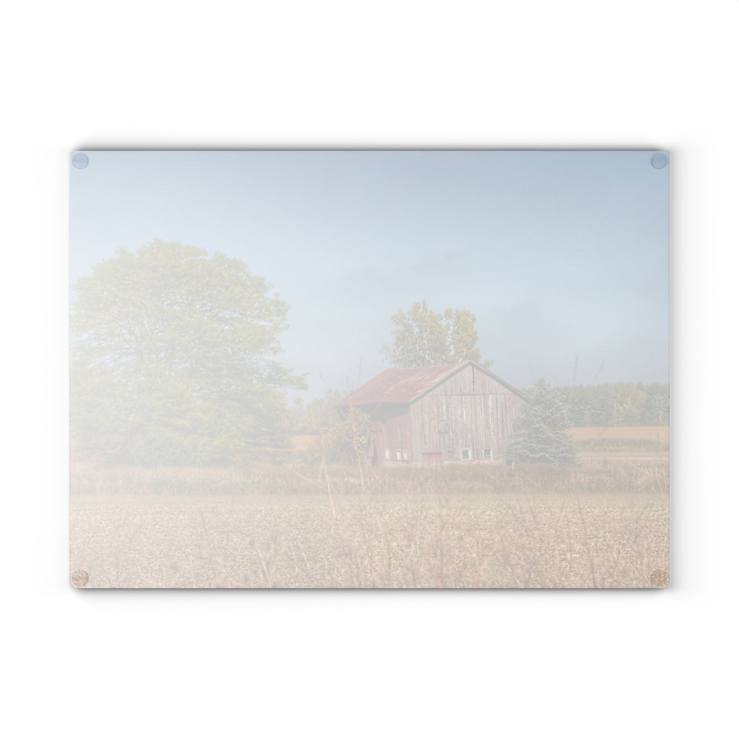 U R There Photography Brown City Wellman Line Road Little Red Rustic Farmhouse Tempered-Glass Cutting Board