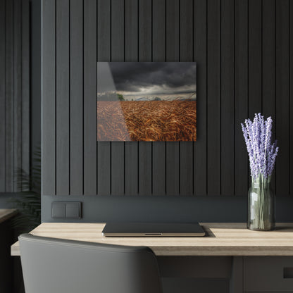 U R There Photography Garner Road Hidden White Rustic Farmhouse Acrylic Wall Print