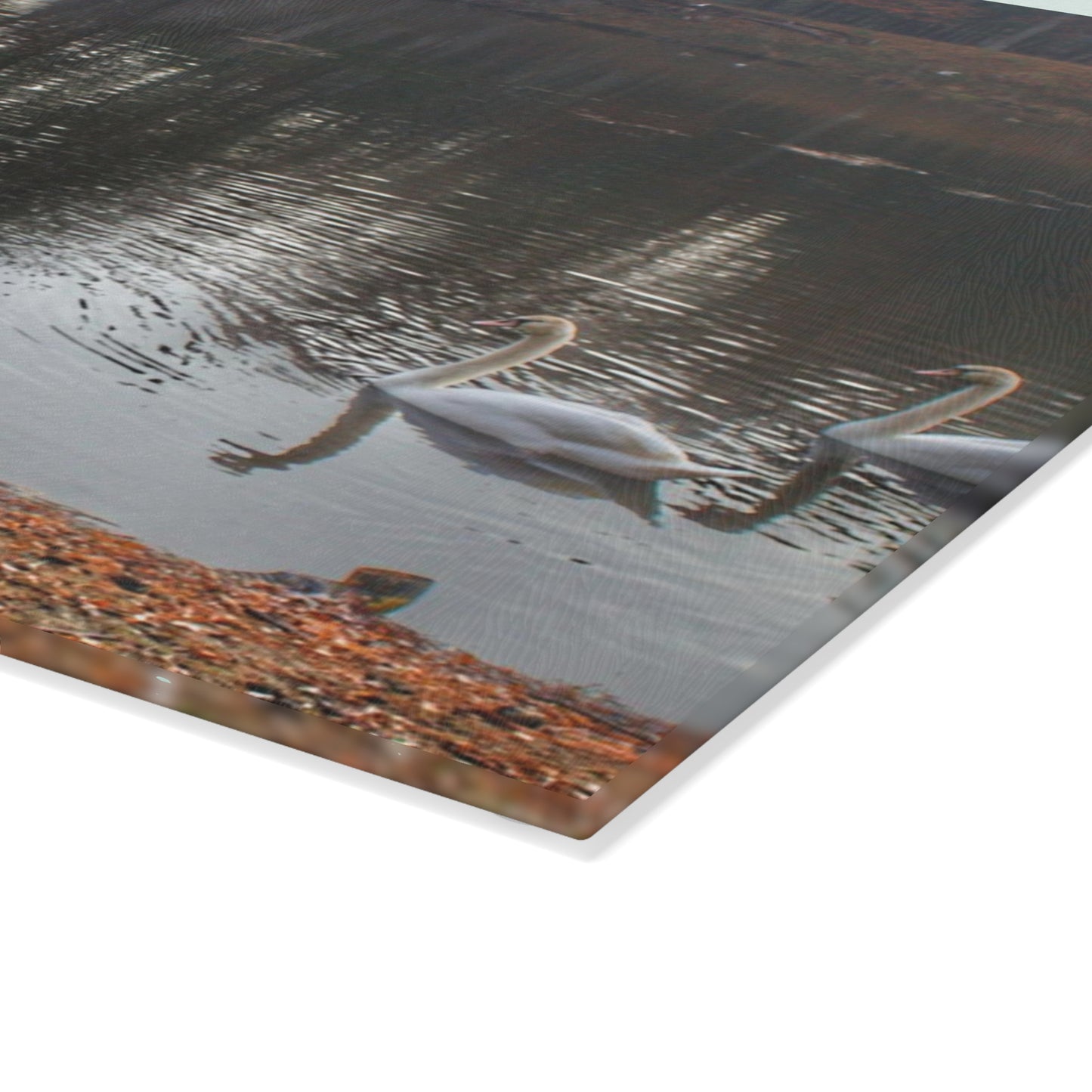 U R There Photography Swans of Duck Lake I Rustic Farmhouse Tempered-Glass Cutting Board