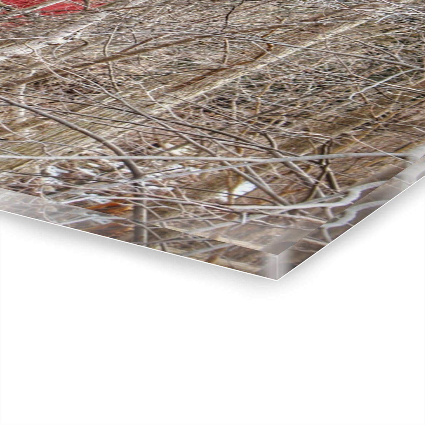 U R There Photography Lake Pleasant Hidden Red Rustic Farmhouse Acrylic Wall Print