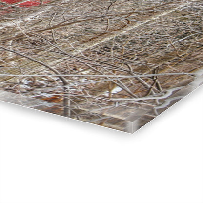 U R There Photography Lake Pleasant Hidden Red Rustic Farmhouse Acrylic Wall Print