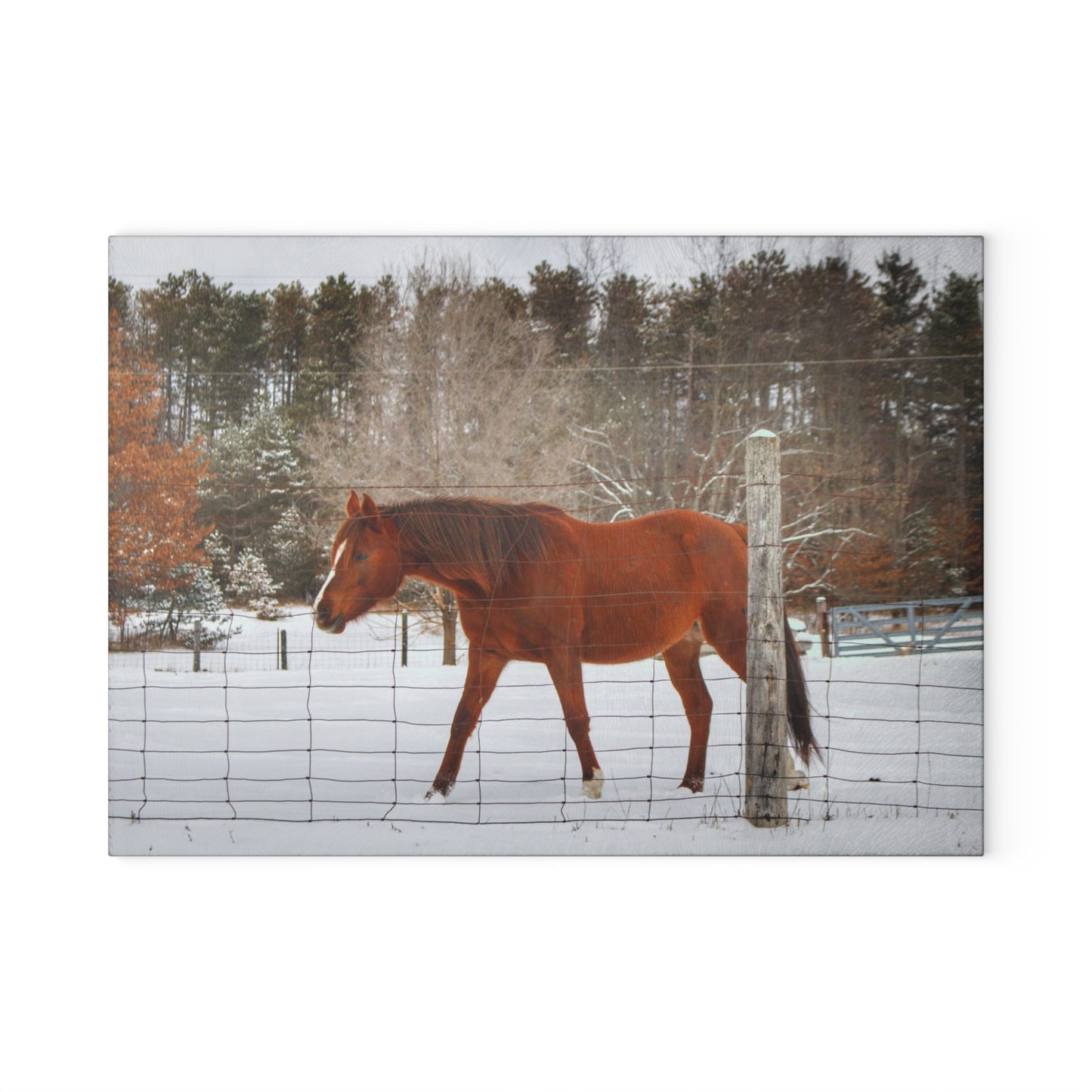 U R There Photography Roadside Chestnut Rustic Farmhouse Tempered-Glass Cutting Board