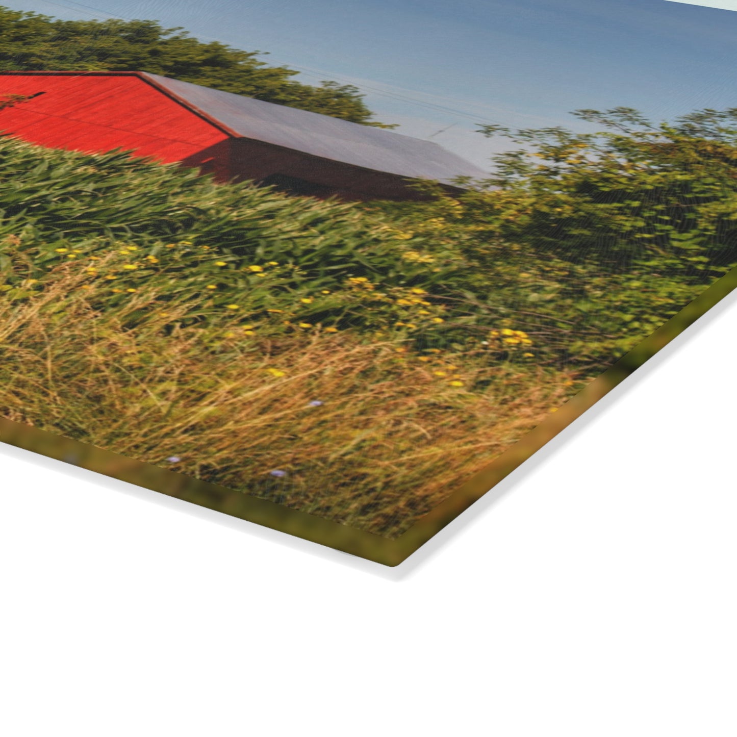 U R There Photography Willard Road Red II Rustic Farmhouse Tempered-Glass Cutting Board