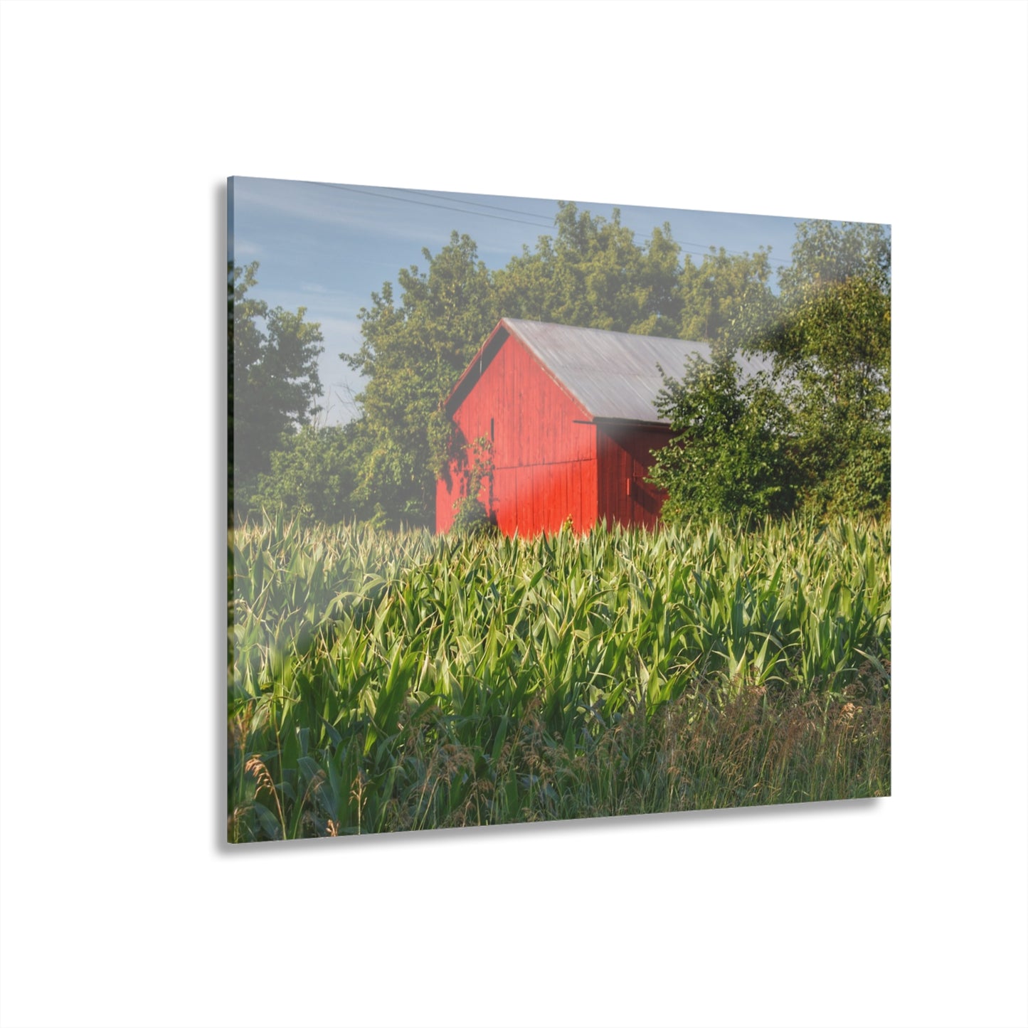 U R There Photography Willard Road Red III Rustic Farmhouse Acrylic Wall Print