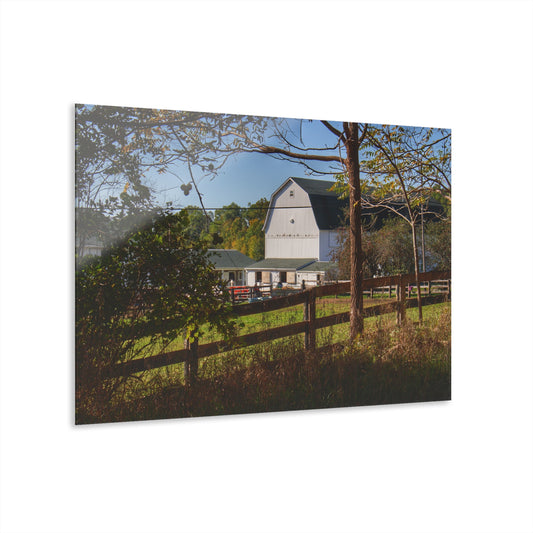 U R There Photography Oakwood Road White I Rustic Farmhouse Acrylic Wall Print