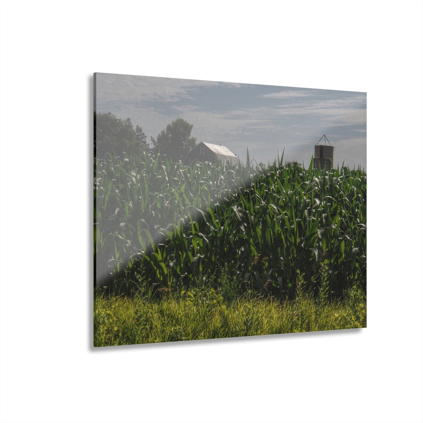 U R There Photography Above the Corn on Piersonville Road I Rustic Farmhouse Acrylic Wall Print