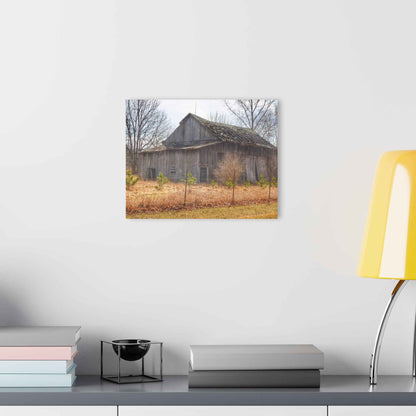 U R There Photography Leix Road Forgotten Grey I Rustic Farmhouse Acrylic Wall Print
