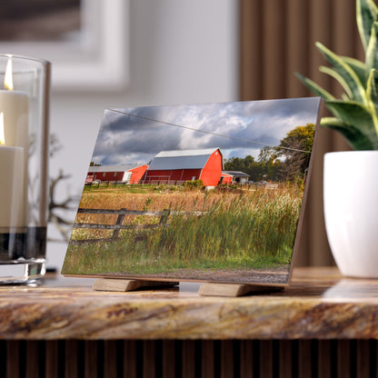 U R There Photography Beyond the Harvest Corn I Rustic Farmhouse Decorative Ceramic Tile