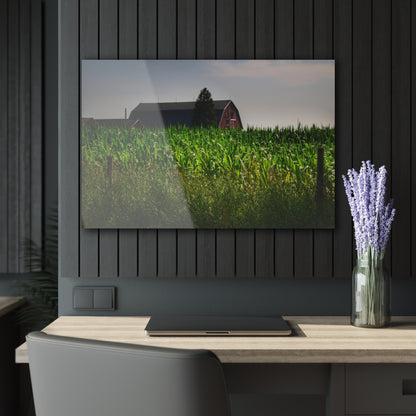 U R There Photography Beyond the Corn in Metamora Rustic Farmhouse Acrylic Wall Print