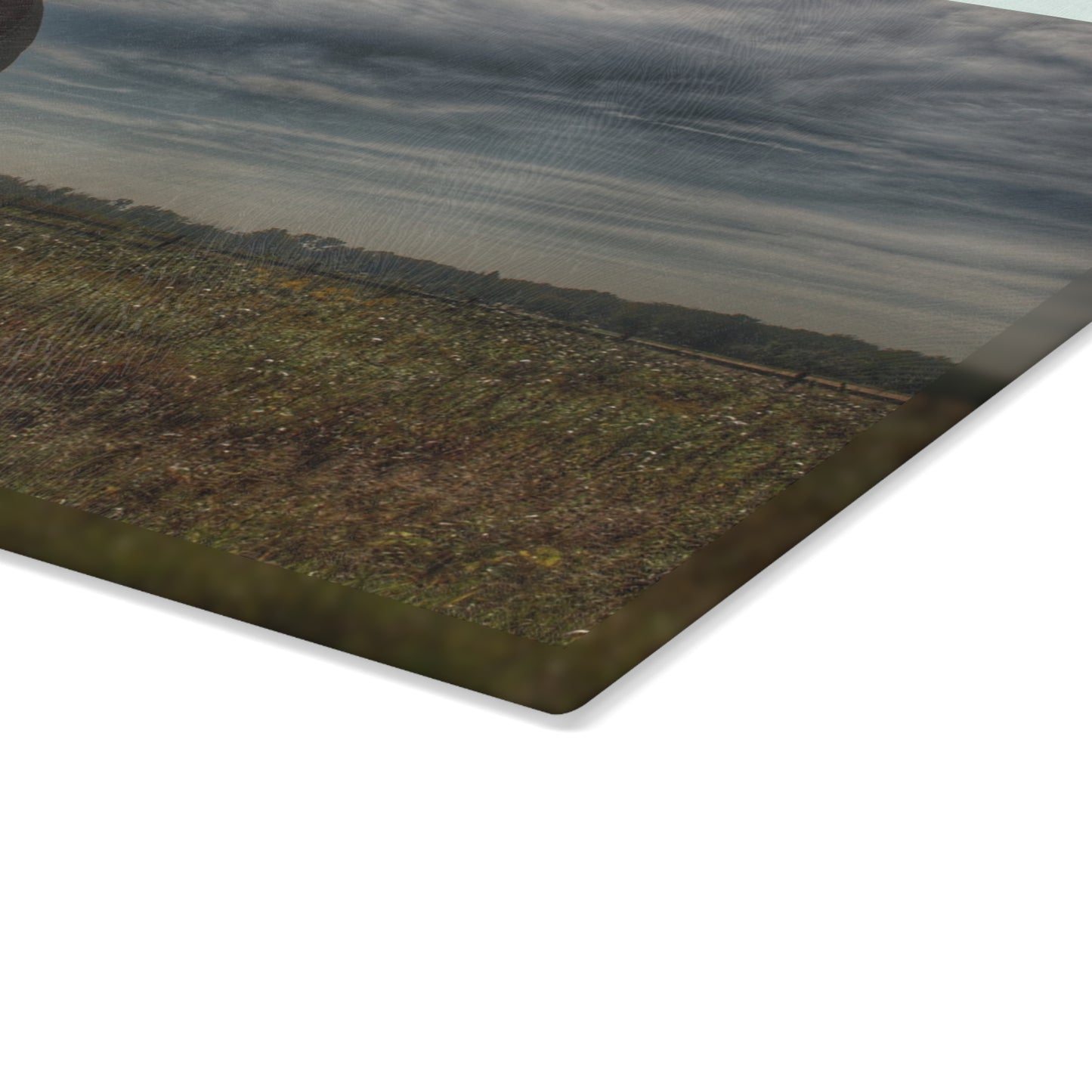 U R There Photography Mushroom Road Red I Rustic Farmhouse Tempered-Glass Cutting Board