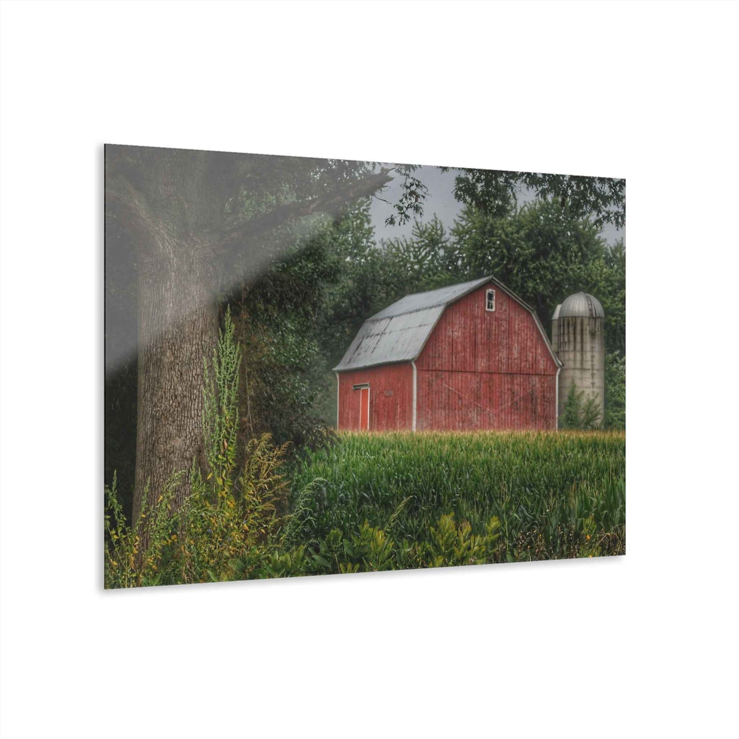 U R There Photography Mayville Lapeer Road Red Rustic Farmhouse Acrylic Wall Print