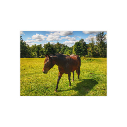 U R There Photography Brown Beauty II Rustic Farmhouse Decorative Ceramic Tile 6" × 8" Glossy