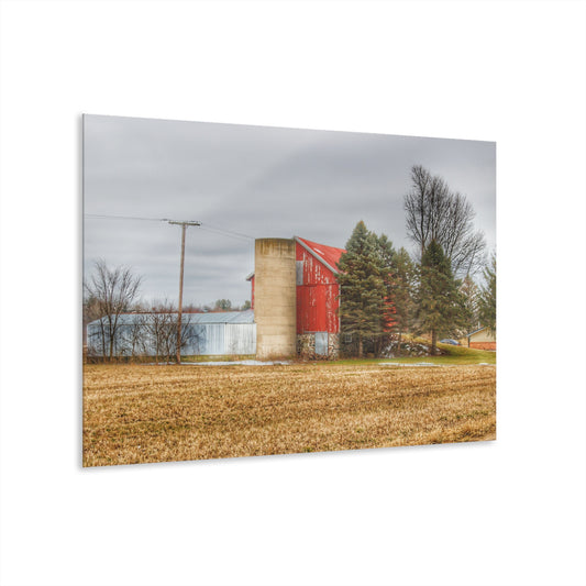 U R There Photography Laur Road Red Among the Pines I Rustic Farmhouse Acrylic Wall Print