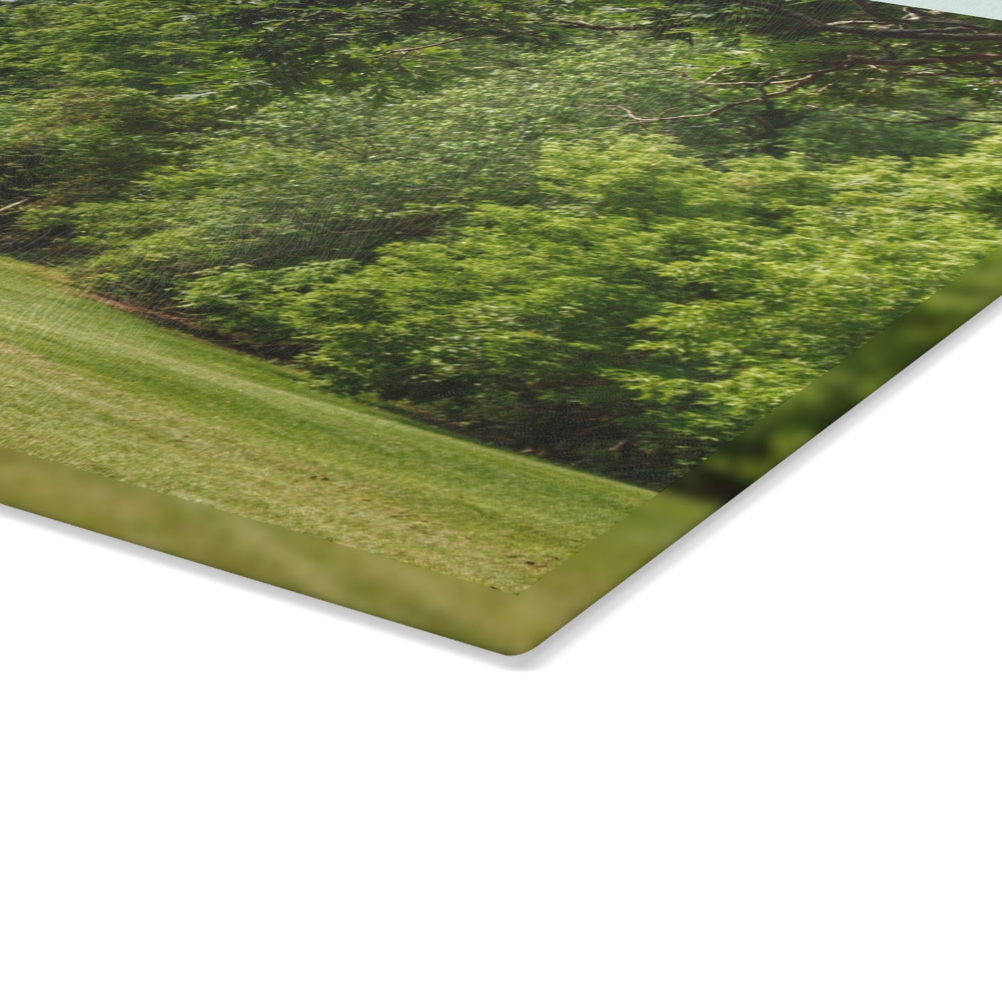 U R There Photography Hunters Creek White Rustic Farmhouse Tempered-Glass Cutting Board