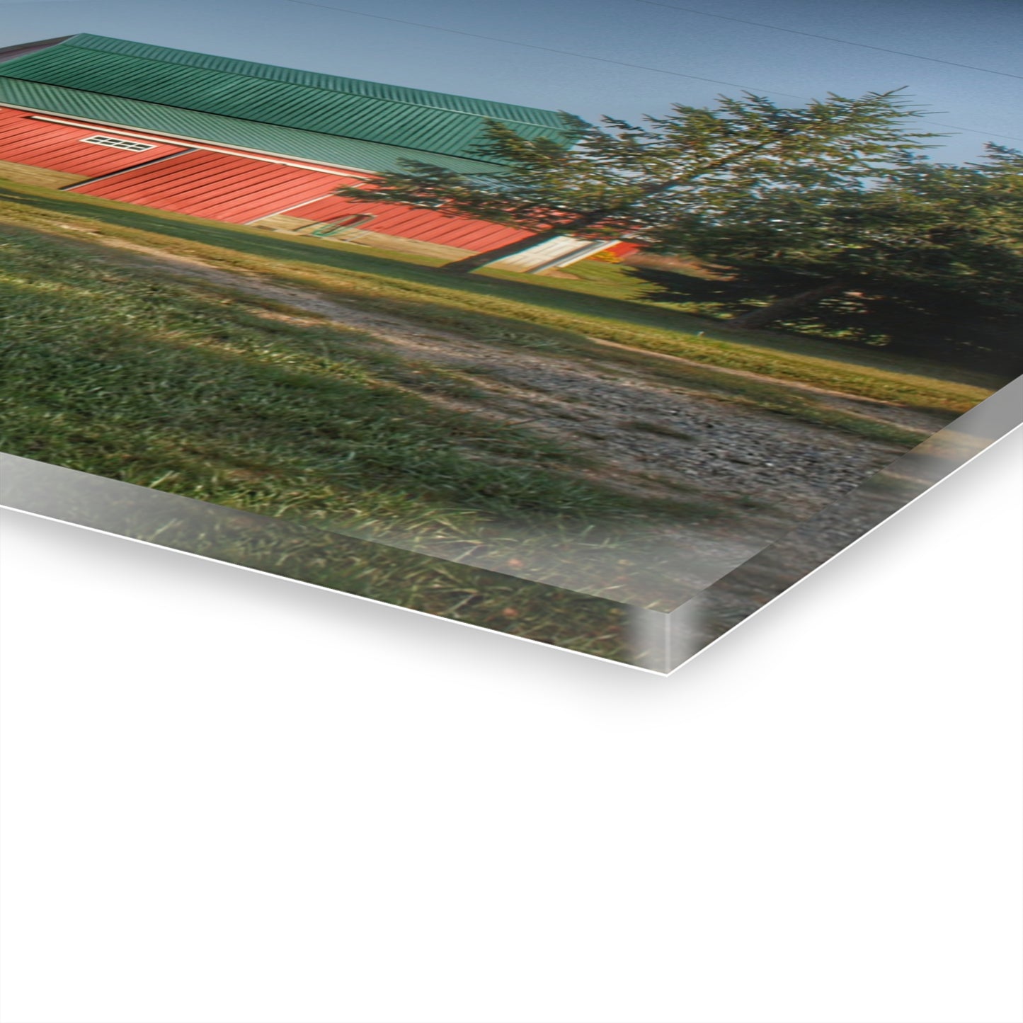 U R There Photography Modern Red II Rustic Farmhouse Acrylic Wall Print