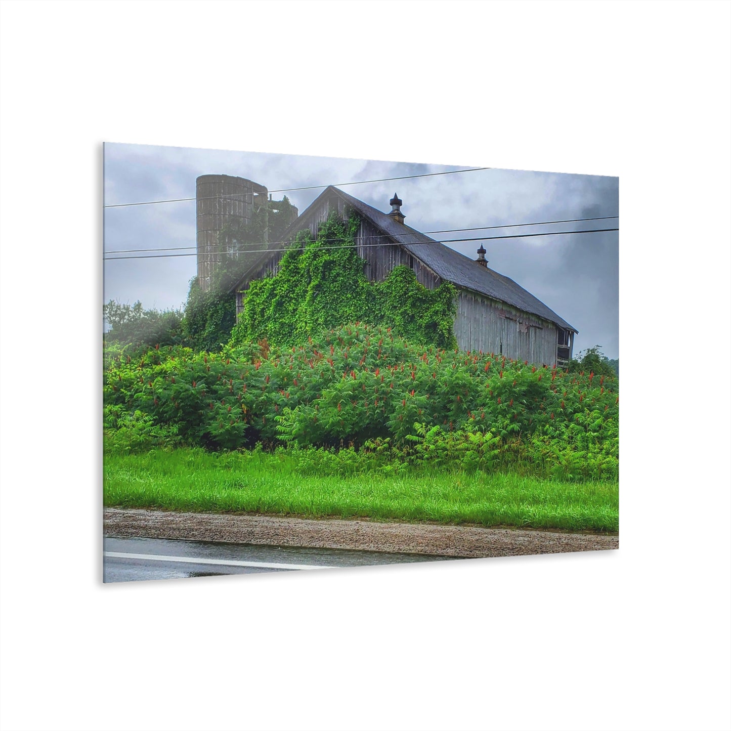 U R There Photography Metamora M-24 Grey IV Rustic Farmhouse Acrylic Wall Print