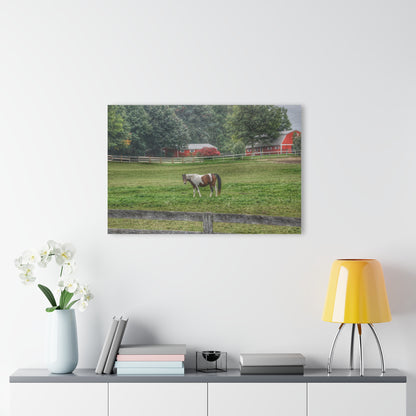 U R There Photography Painted Pony in Pasture Rustic Farmhouse Acrylic Wall Print