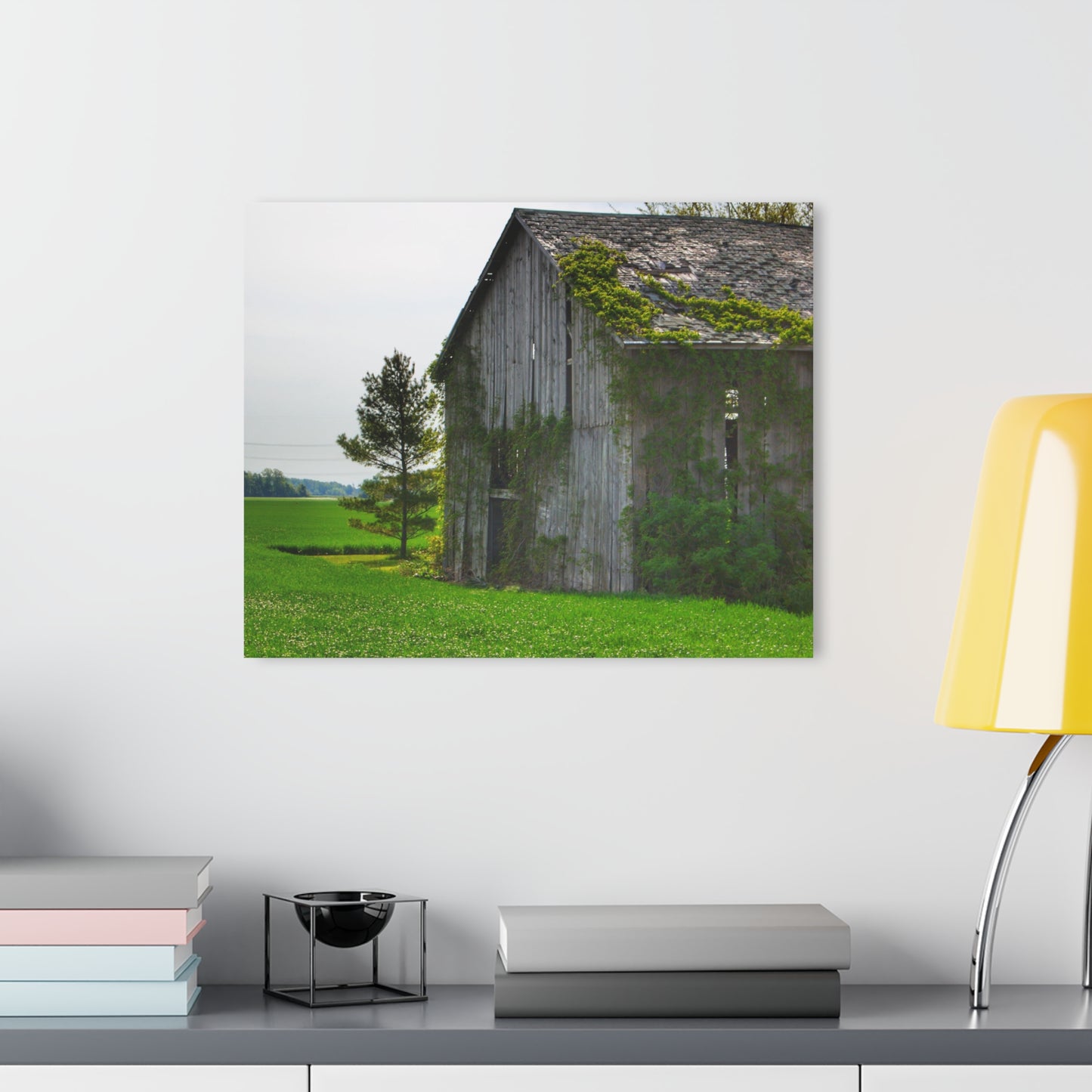 U R There Photography Caro Road Twin Grey I Rustic Farmhouse Acrylic Wall Print