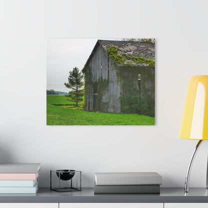 U R There Photography Caro Road Twin Grey I Rustic Farmhouse Acrylic Wall Print