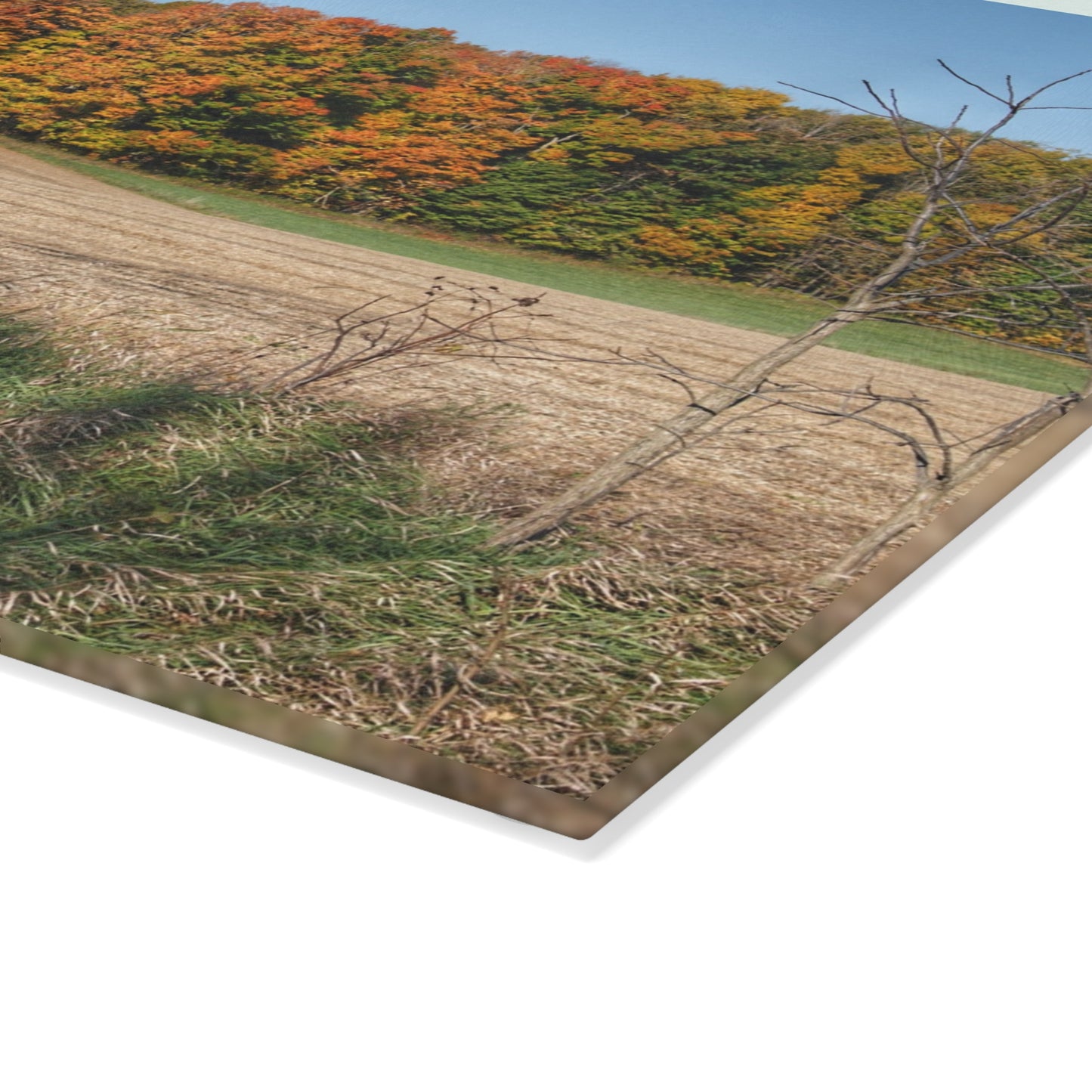 U R There Photography Fall on Piersonville Road Rustic Farmhouse Tempered-Glass Cutting Board