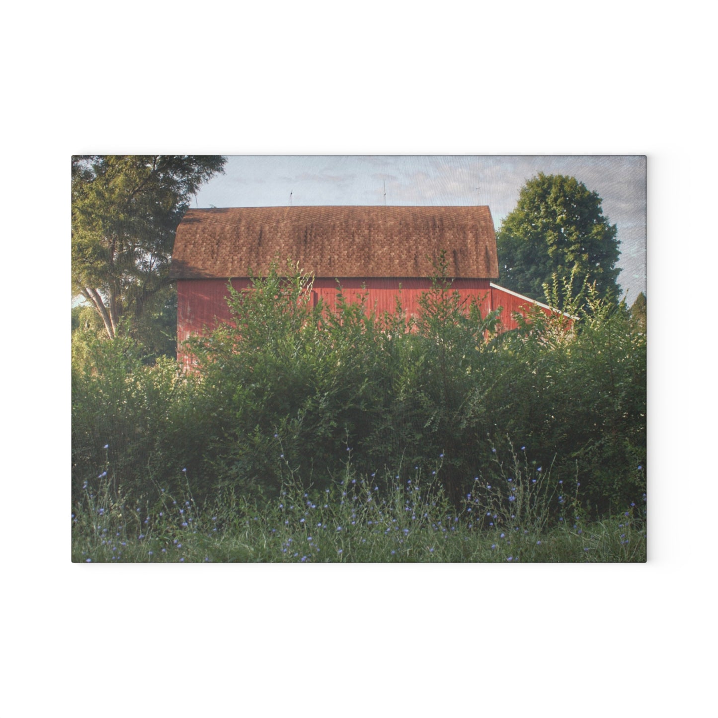 U R There Photography Genesee Road Red I Rustic Farmhouse Tempered-Glass Cutting Board