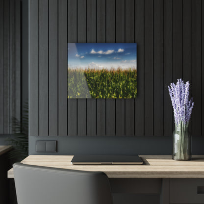 U R There Photography Sky-High Corn Rustic Farmhouse Acrylic Wall Print