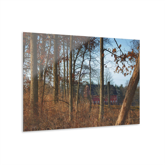 U R There Photography Blood Road Red II Rustic Farmhouse Acrylic Wall Print
