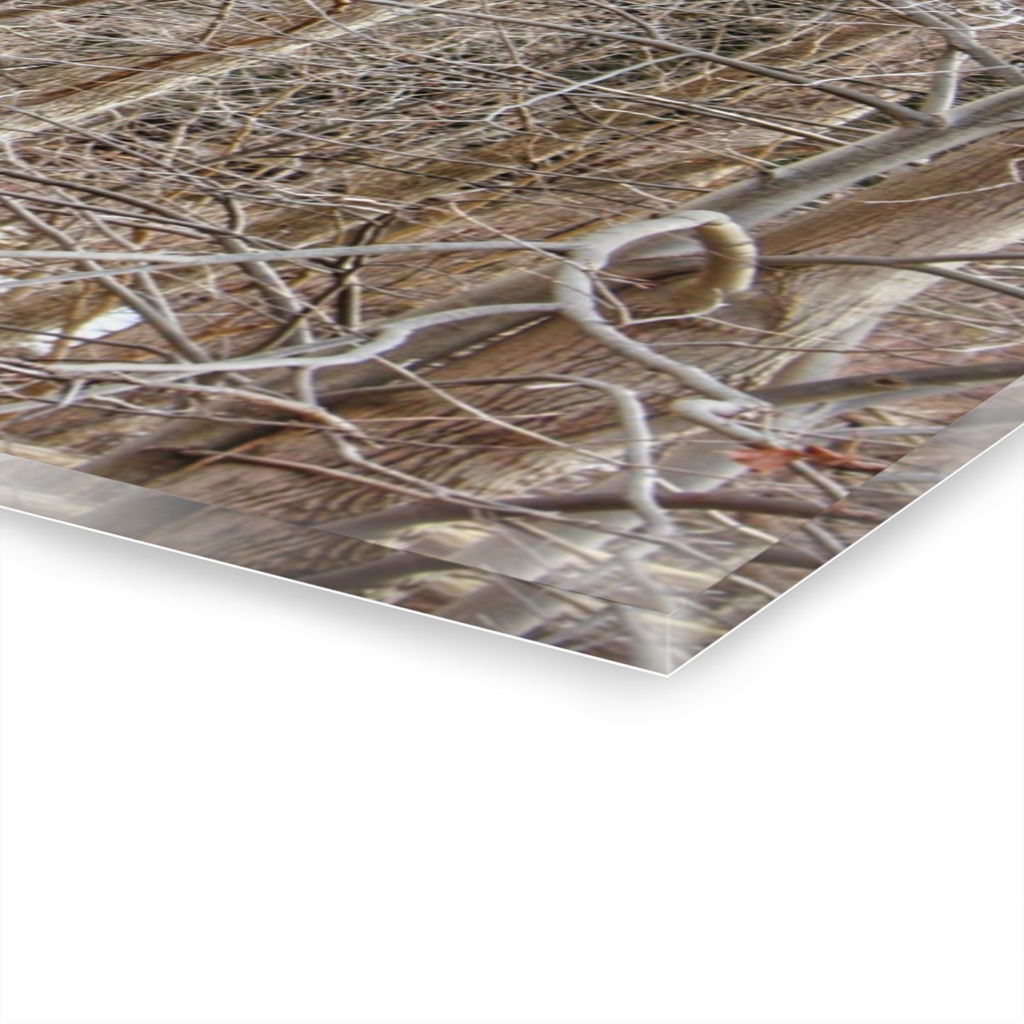 U R There Photography Lake Pleasant Hidden Red Rustic Farmhouse Acrylic Wall Print