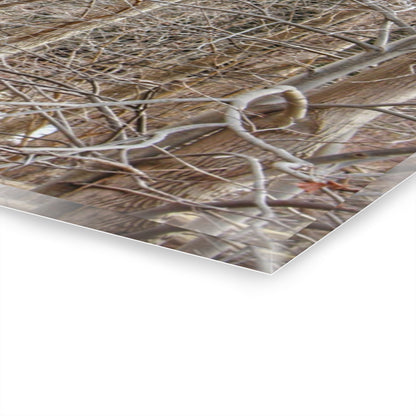 U R There Photography Lake Pleasant Hidden Red Rustic Farmhouse Acrylic Wall Print