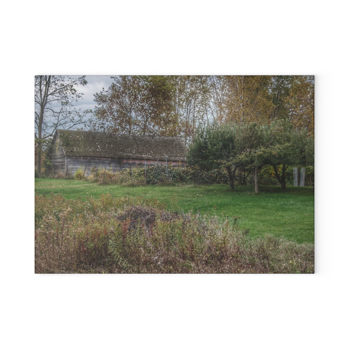 U R There Photography Grey Shack of Elmwood Rustic Farmhouse Tempered-Glass Cutting Board