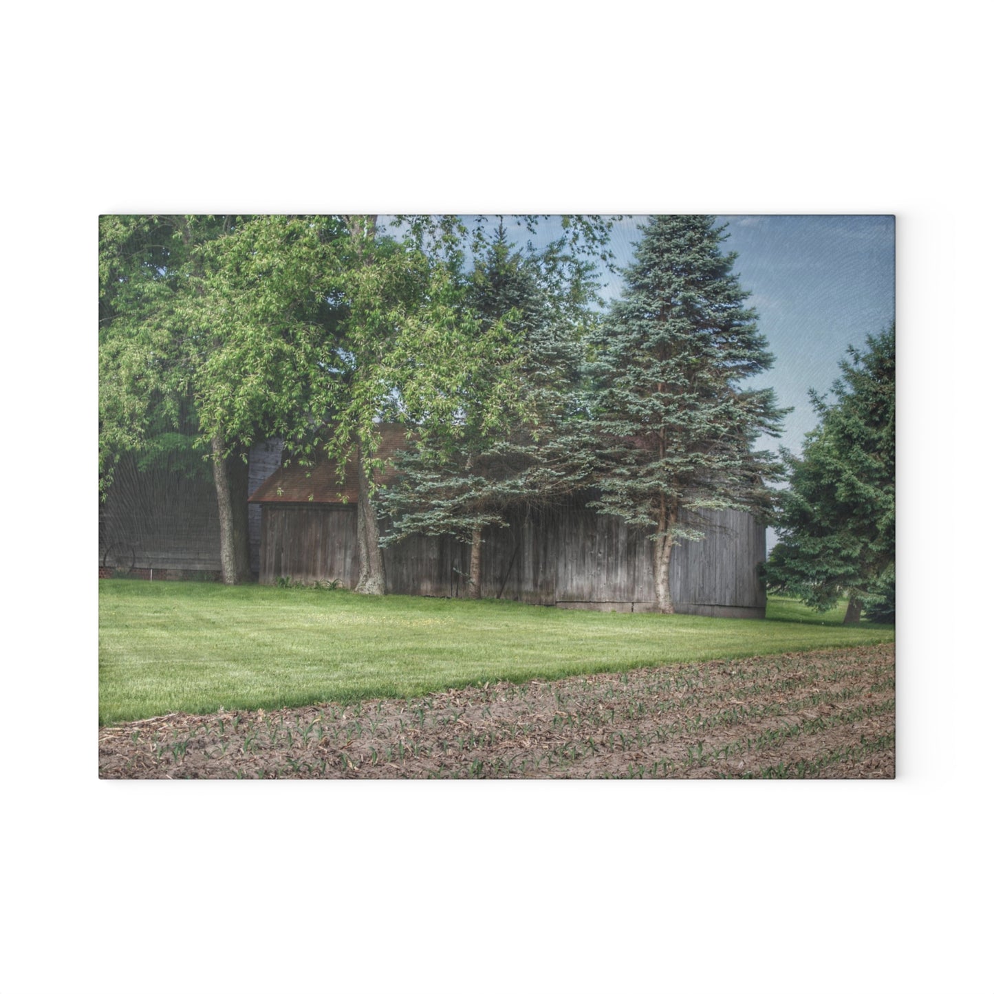 U R There Photography Barkley Road Greys II Rustic Farmhouse Tempered-Glass Cutting Board