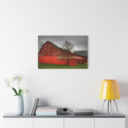 U R There Photography Almont Reds Rustic Farmhouse Acrylic Wall Print