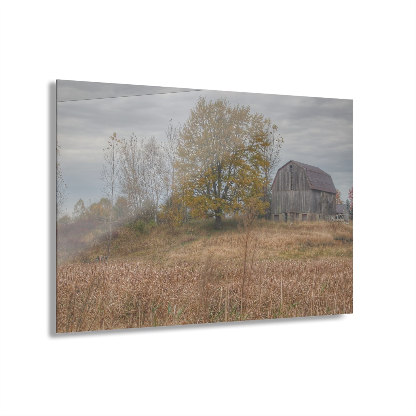 U R There Photography Swaffer Road Hilltop Grey Rustic Farmhouse Acrylic Wall Print
