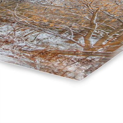 U R There Photography Dryden Road Hidden Winter Grey Rustic Farmhouse Acrylic Wall Print