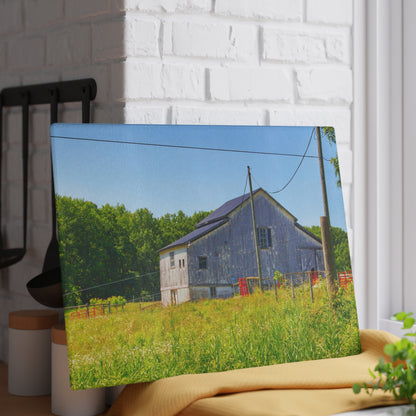 U R There Photography Greenwood Road Whitewash Grey Rustic Farmhouse Tempered-Glass Cutting Board