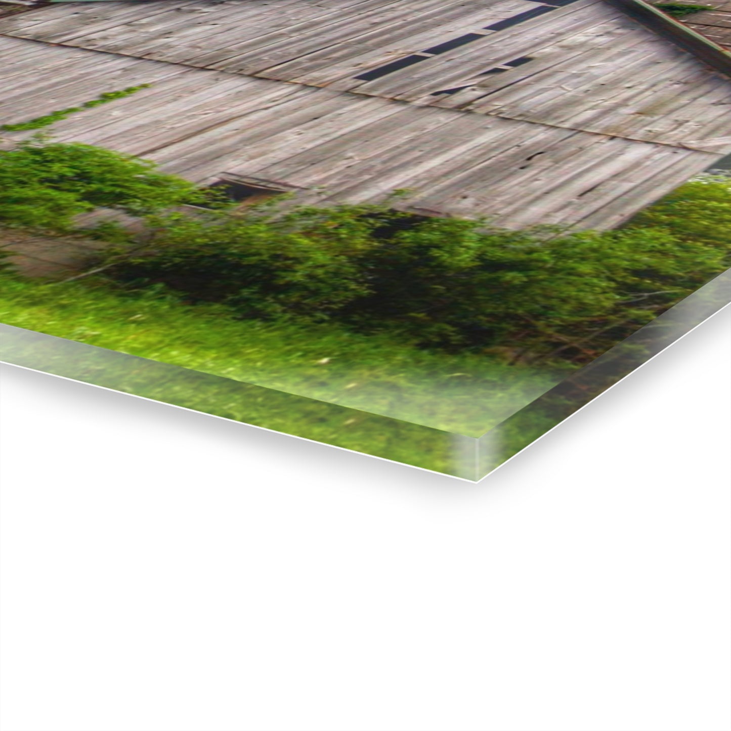 U R There Photography Wilder Road Wonderment Rustic Farmhouse Acrylic Wall Print