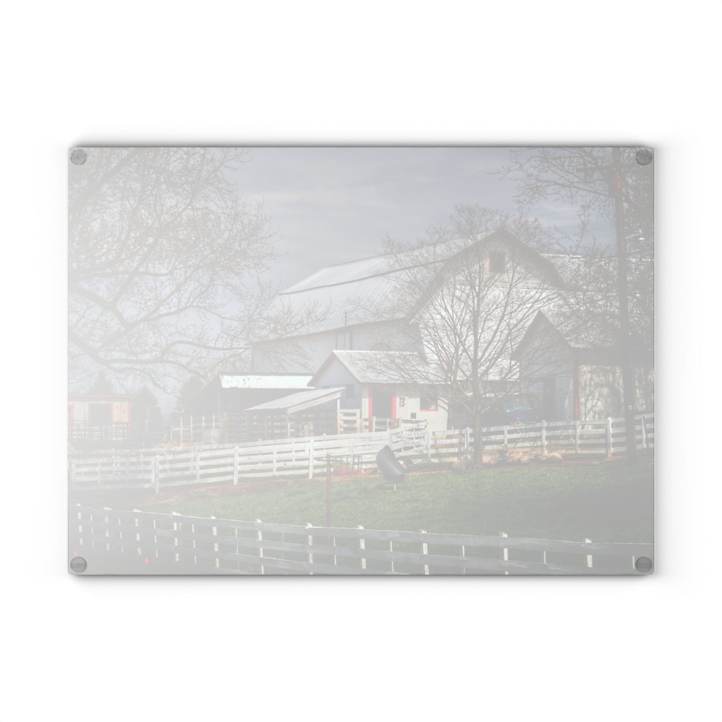 U R There Photography Henderson Whites Rustic Farmhouse Tempered-Glass Cutting Board