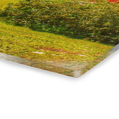 U R There Photography East Farrand Reds Rustic Farmhouse Acrylic Wall Print