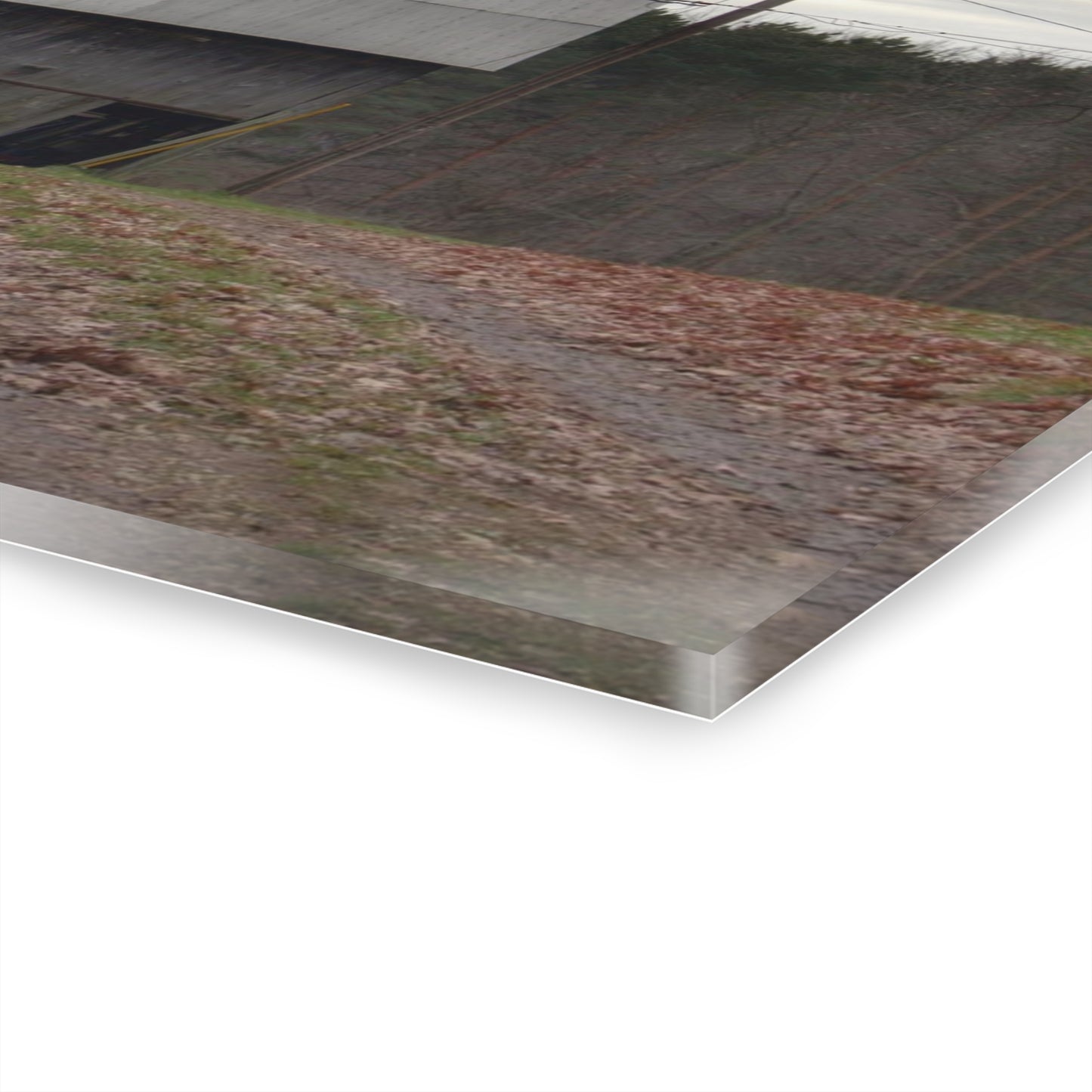 U R There Photography Grey Horse Barn Rustic Farmhouse Acrylic Wall Print