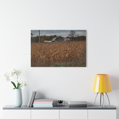 U R There Photography North State Road Grey Rustic Farmhouse Acrylic Wall Print
