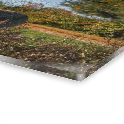 U R There Photography Hemingway Lake Road Red Rustic Farmhouse Acrylic Wall Print