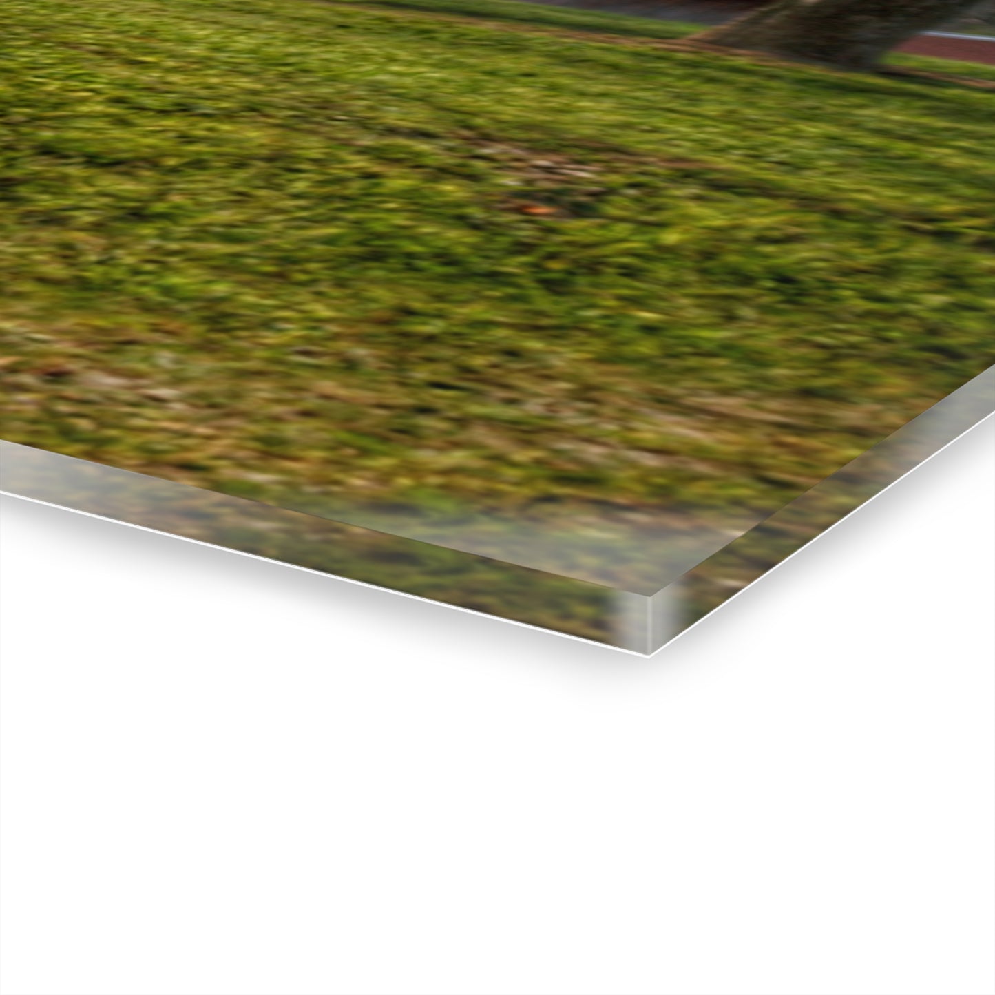 U R There Photography Hidden on Schott Road Rustic Farmhouse Acrylic Wall Print