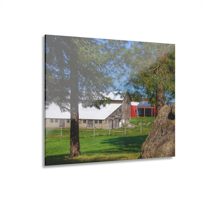 U R There Photography Oakwood Road Old Grey Rustic Farmhouse Acrylic Wall Print